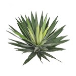 千手剑麻仿真绿植盆栽龙舌兰剑麻沙漠植物室内造景装饰厂家批发