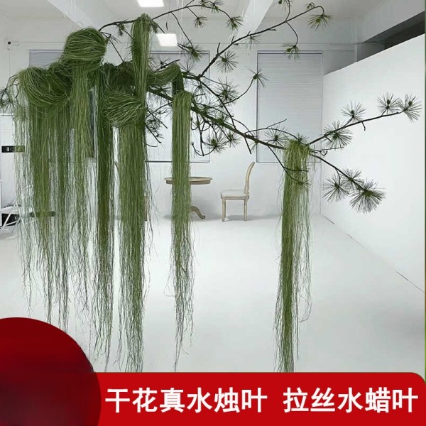 仿真绿植花艺造景拉丝水蜡叶干花材水烛花水竹叶丝垂吊挂婚庆装饰
