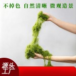 仿真苔藓草皮绿植造景人造假青苔草坪微景观盆栽装饰铺面白发藓
