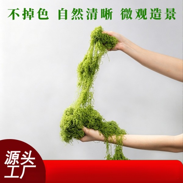仿真苔藓草皮绿植造景人造假青苔草坪微景观盆栽装饰铺面白发藓