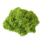 仿真苔藓草皮绿植造景人造假青苔草坪微景观盆栽装饰铺面白发藓