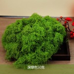 仿真苔藓草皮绿植造景人造假青苔草坪微景观盆栽装饰铺面白发藓