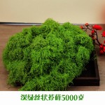 仿真苔藓草皮绿植造景人造假青苔草坪微景观盆栽装饰铺面白发藓