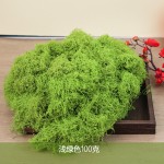 仿真苔藓草皮绿植造景人造假青苔草坪微景观盆栽装饰铺面白发藓