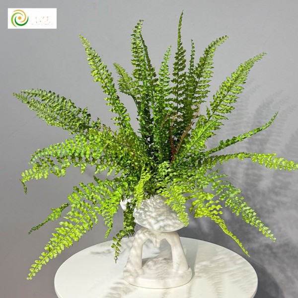 仿真蕨类绿植波斯蕨凤尾蕨草蕨叶室内家居植物墙装饰造景波斯蕨草