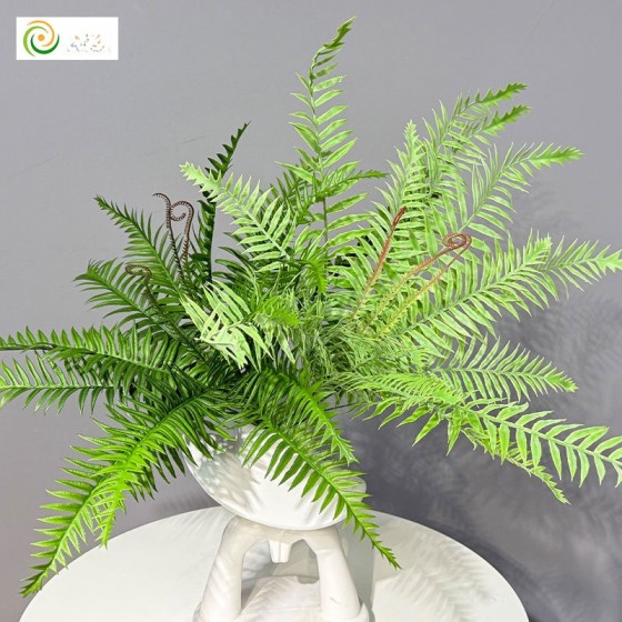 仿真蕨类绿植波斯蕨凤尾蕨草蕨叶室内家居植物墙装饰造景波斯蕨草