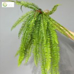 仿真蕨类绿植波斯蕨凤尾蕨草蕨叶室内家居植物墙装饰造景波斯蕨草