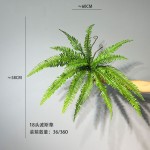仿真蕨类绿植波斯蕨凤尾蕨草蕨叶室内家居植物墙装饰造景波斯蕨草