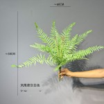仿真蕨类绿植波斯蕨凤尾蕨草蕨叶室内家居植物墙装饰造景波斯蕨草