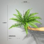 仿真蕨类绿植波斯蕨凤尾蕨草蕨叶室内家居植物墙装饰造景波斯蕨草