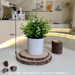 仿真花仿真盆景假花办公室桌面摆件客厅北欧轻奢ins饰品拍照道具