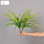 仿真蕨类植物插花造景装饰小绿植家居橱窗装饰把束蕨叶软胶波斯草
