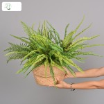 仿真蕨类植物插花造景装饰小绿植家居橱窗装饰把束蕨叶软胶波斯草