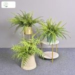 仿真蕨类植物插花造景装饰小绿植家居橱窗装饰把束蕨叶软胶波斯草