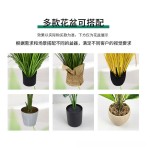 仿真绿植满天星草堆北欧ins网红室内客厅商店橱窗造景假绿植摆件