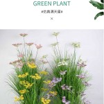 仿真绿植满天星草堆北欧ins网红室内客厅商店橱窗造景假绿植摆件