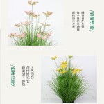 仿真绿植满天星草堆北欧ins网红室内客厅商店橱窗造景假绿植摆件