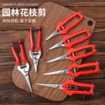 园艺剪修枝剪花枝园林园艺家用多功能不锈钢强力剪剪刀果树葡萄水