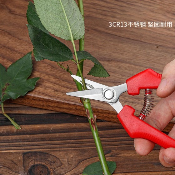园艺剪修枝剪花枝园林园艺家用多功能不锈钢强力剪剪刀果树葡萄水