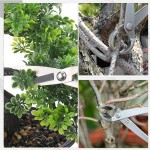 盆景工具大号球节剪 圆口剪斜口钳园艺花剪树瘤树节修剪钳 盆景剪