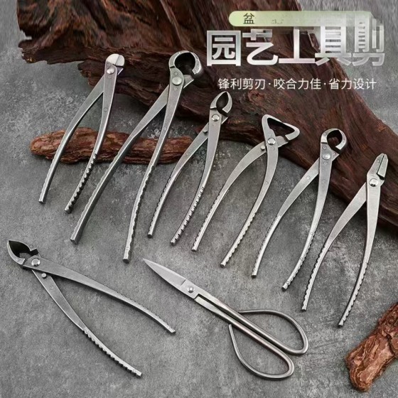 盆景工具大号球节剪 圆口剪斜口钳园艺花剪树瘤树节修剪钳 盆景剪