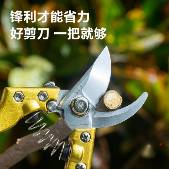 修枝剪果树剪刀剪枝器省力SK5钢树枝剪园艺剪刀园林工具花艺剪刀