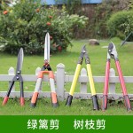 大号花剪园艺剪刀绿篱剪工具草坪修枝剪花草树枝剪粗枝园林大剪刀