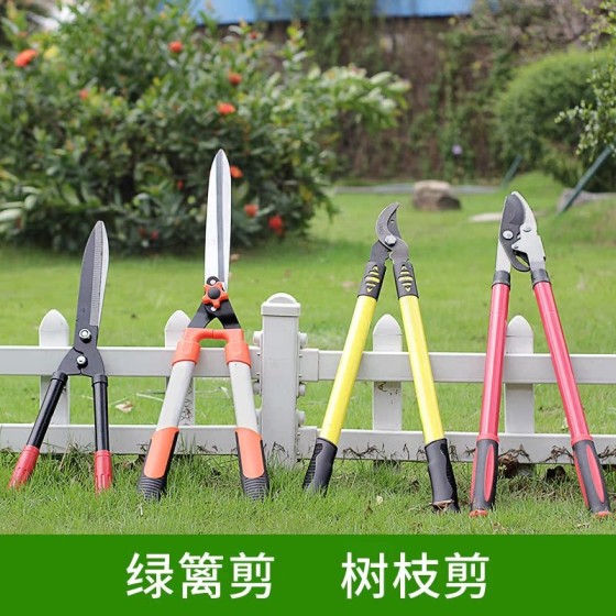 大号花剪园艺剪刀绿篱剪工具草坪修枝剪花草树枝剪粗枝园林大剪刀