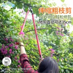 大号花剪园艺剪刀绿篱剪工具草坪修枝剪花草树枝剪粗枝园林大剪刀