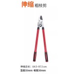 大号花剪园艺剪刀绿篱剪工具草坪修枝剪花草树枝剪粗枝园林大剪刀
