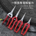 摘果剪园艺修枝剪稀果剪刀水果蔬菜采摘葡萄剪子园艺剪花椒剪刀