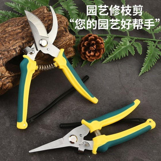 不锈钢树枝剪修枝剪园艺剪刀果园花艺专用摘果剪园林工具剪批发