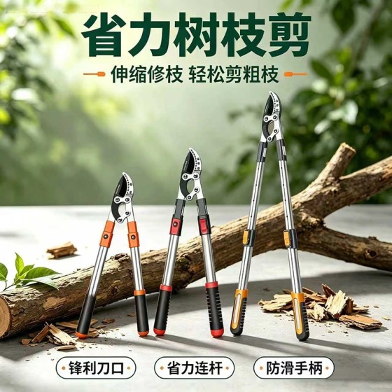 剪枝剪刀果树修枝修剪树枝修枝剪树枝园林大强力修树枝大力粗枝剪