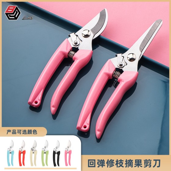 园林剪果枝剪花枝剪子彩色修枝剪园林剪刀家用剪子果树盘栽修叶剪
