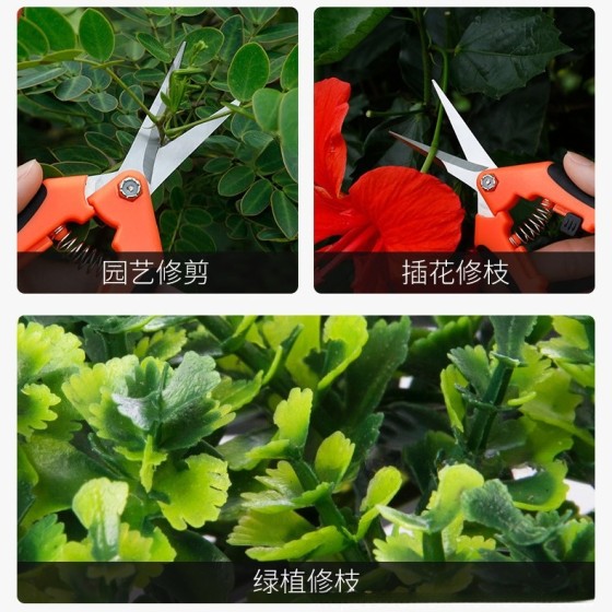 不锈钢树枝剪尖头葡萄剪锋利修枝剪子园艺剪刀花园剪摘果剪花枝剪