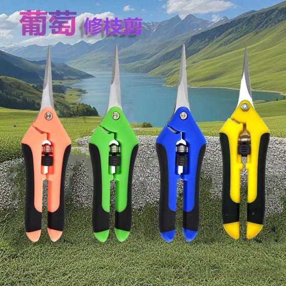 不锈钢树枝剪尖头葡萄剪锋利修枝剪子园艺剪刀花园剪摘果剪花枝剪