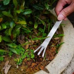 不锈钢加厚松土三抓耙园艺专用工具花盆耙土除草翻地盆景种花工具
