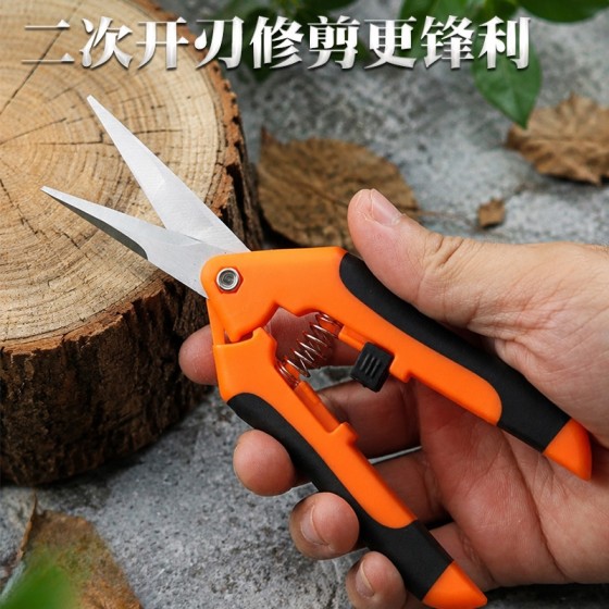 不锈钢树枝剪刀修枝剪家用园艺剪果园花艺专用摘果神器园林工具剪