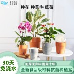源头工厂跨境塑料懒人自吸水花盆家用简约种植神器加厚塑料园艺盆