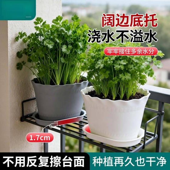 欧林泽跨境花盆塑料盆园艺带底托有孔塑料花盆园艺小花盆现货批发