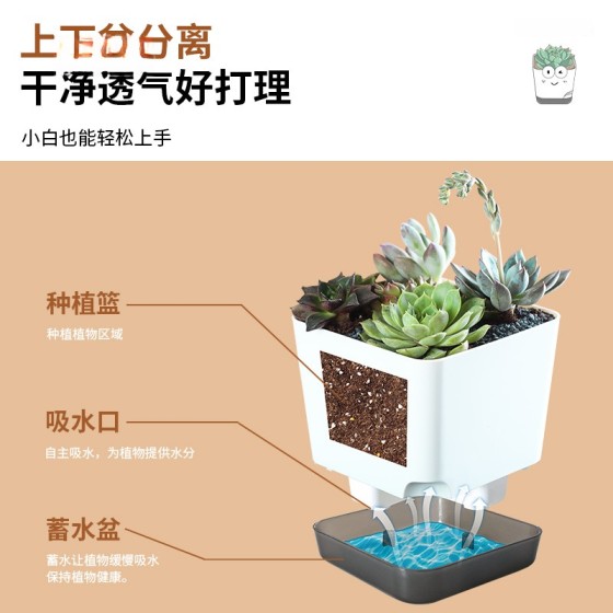 跨境欧林泽多肉花盆塑料多肉盆桌面自吸水小花盆家用简约多肉花盆