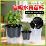 跨境批发育苗吸水盆家用水培加厚款育苗杯黑色育苗钵半透明育苗杯
