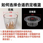 批发塑料圆形定植篮玻璃花瓶固根器生根盆园艺绿植水培固定架花器