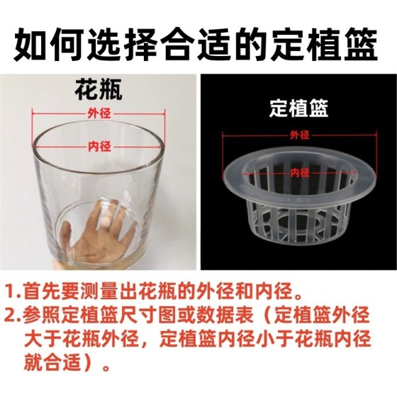 批发塑料圆形定植篮玻璃花瓶固根器生根盆园艺绿植水培固定架花器