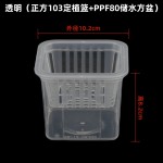 正方形储水盆透明蝴蝶兰花盆实验观察盆定植篮组培盆方形水培杯