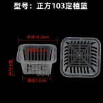正方形储水盆透明蝴蝶兰花盆实验观察盆定植篮组培盆方形水培杯