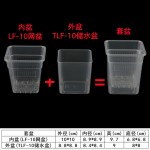 正方形TLF储水盆透明蝴蝶兰花盆实验观察盆定植篮套盆水培懒人盆
