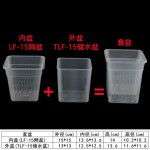 正方形TLF储水盆透明蝴蝶兰花盆实验观察盆定植篮套盆水培懒人盆