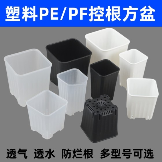PE/PF控根方盆矮胖多肉塑料花盆播种育苗扦插四方盆幼儿园活动盆