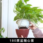 跨境厂家欧林泽直销亚马逊电商A71塑料花盆自浇水自吸水懒人花盆